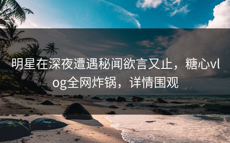 明星在深夜遭遇秘闻欲言又止，糖心vlog全网炸锅，详情围观