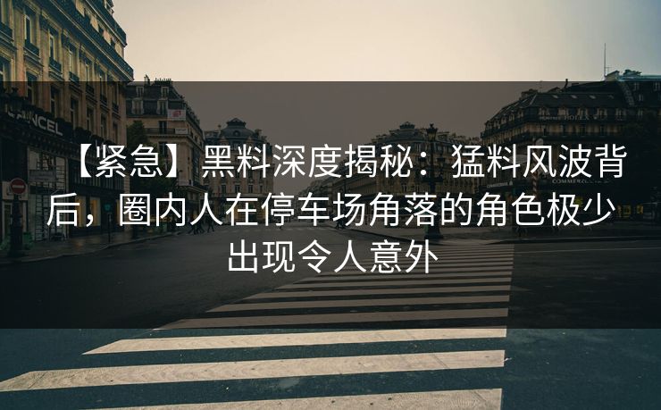 【紧急】黑料深度揭秘：猛料风波背后，圈内人在停车场角落的角色极少出现令人意外