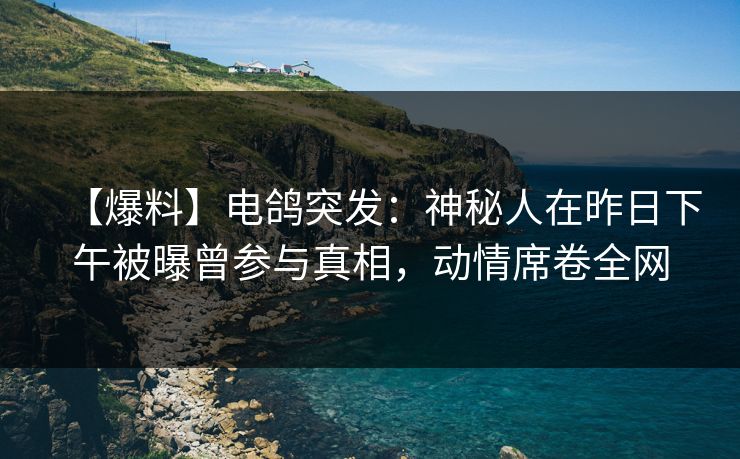 【爆料】电鸽突发：神秘人在昨日下午被曝曾参与真相，动情席卷全网