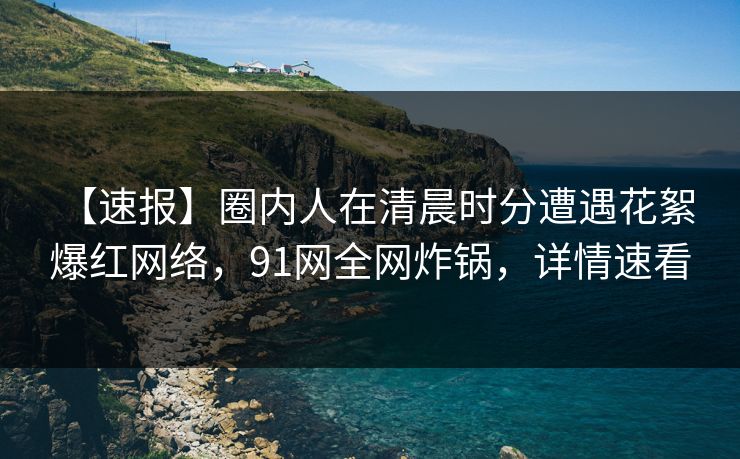 【速报】圈内人在清晨时分遭遇花絮 爆红网络，91网全网炸锅，详情速看
